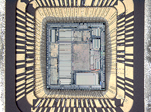 Stereomicroscope example photo 1